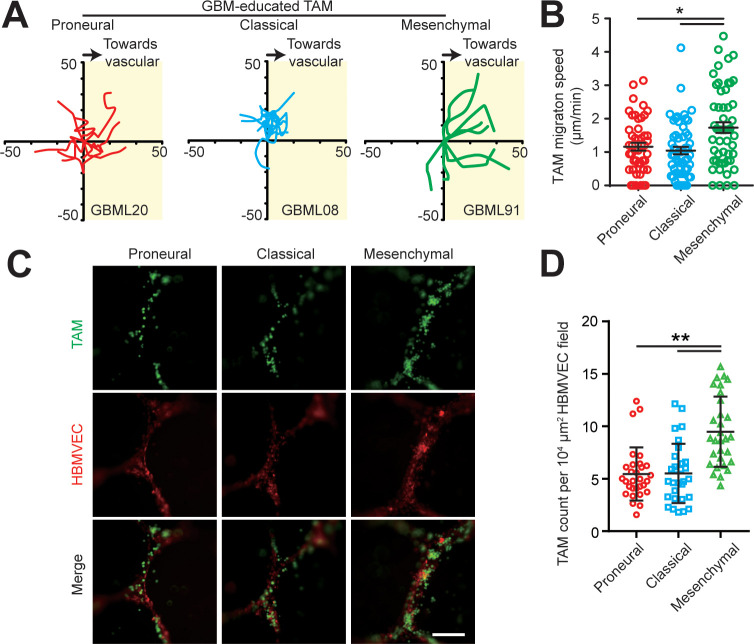 Figure 2—figure supplement 4.