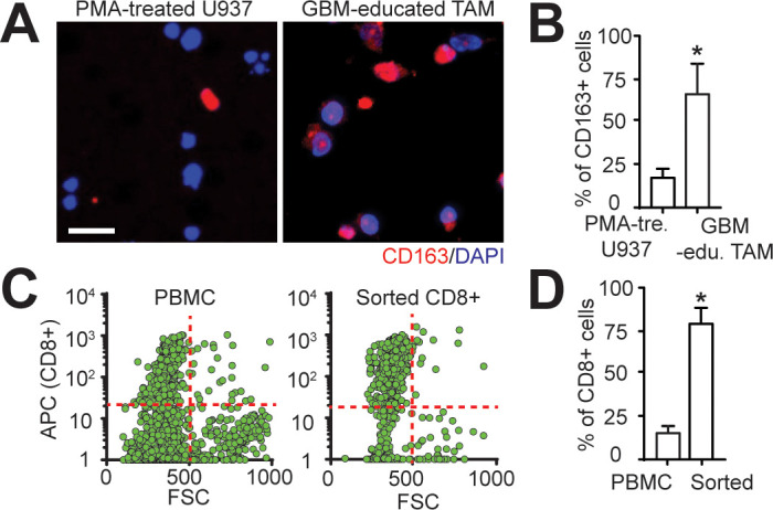 Figure 2—figure supplement 2.