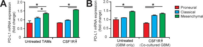 Figure 5—figure supplement 1.