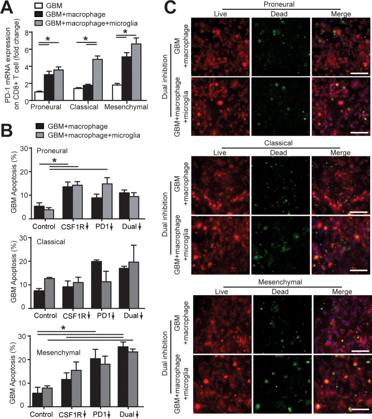 Figure 5—figure supplement 4.