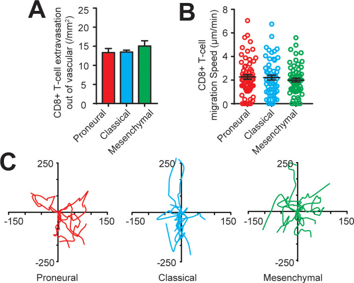 Figure 2—figure supplement 3.