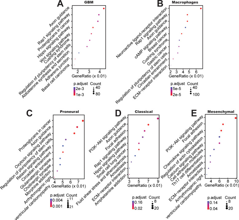 Figure 4—figure supplement 1.