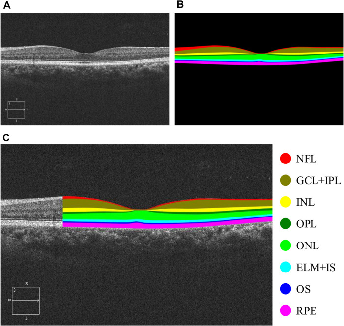 FIGURE 1