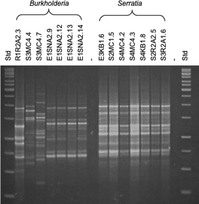 Fig 5