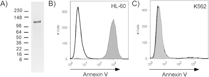 Fig. 1