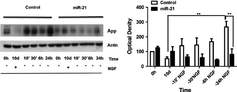 Fig. 7