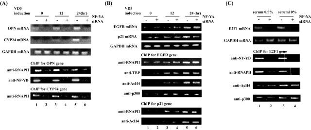 FIG. 5.