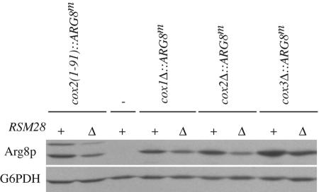 FIG. 7.