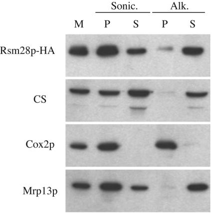 FIG. 5.