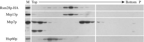 FIG. 6.