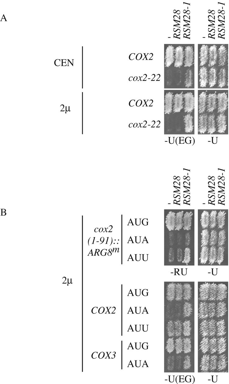 FIG. 8.