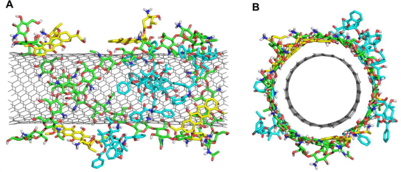 Figure 10