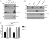 Figure 5