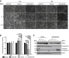 Figure 6