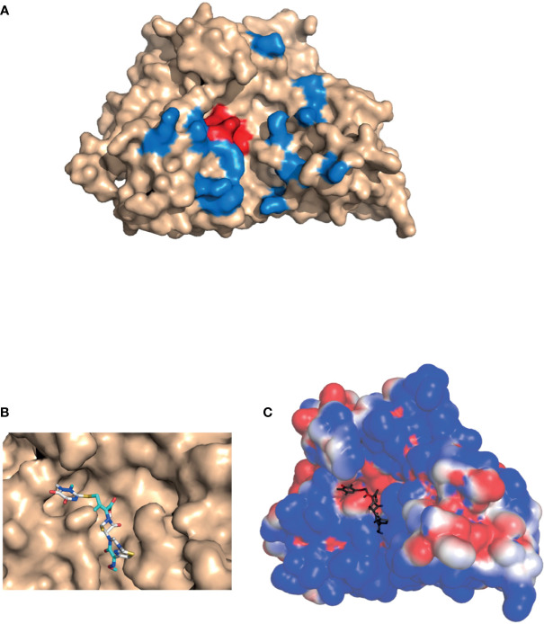 Figure 1