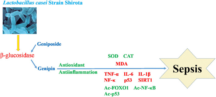 Figure 9