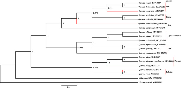 FIGURE 2