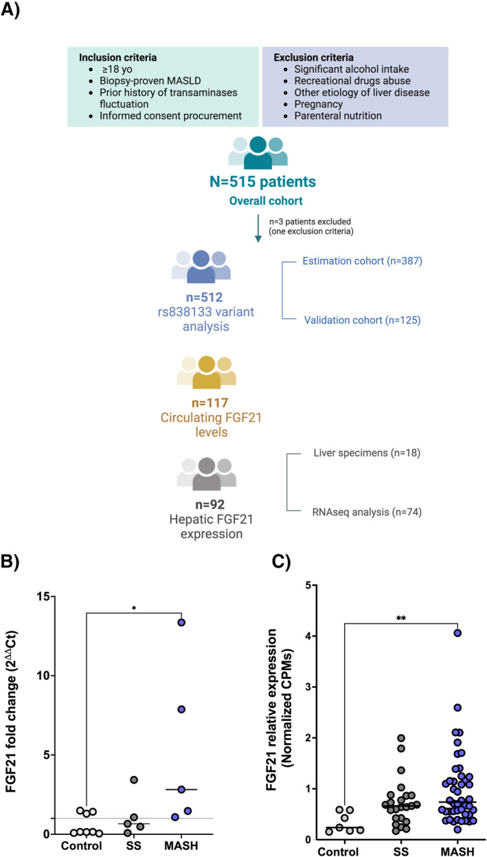 FIGURE 3