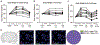 Extended Data Fig. 6.