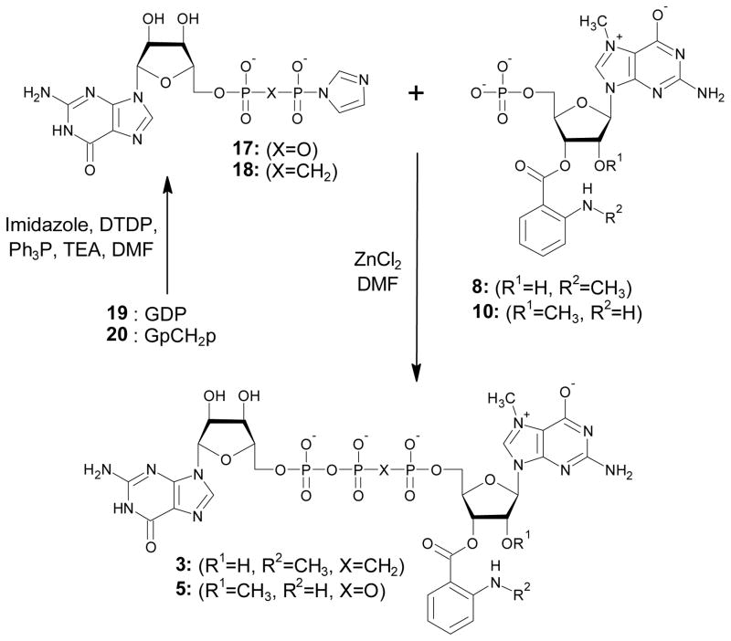 Scheme 3