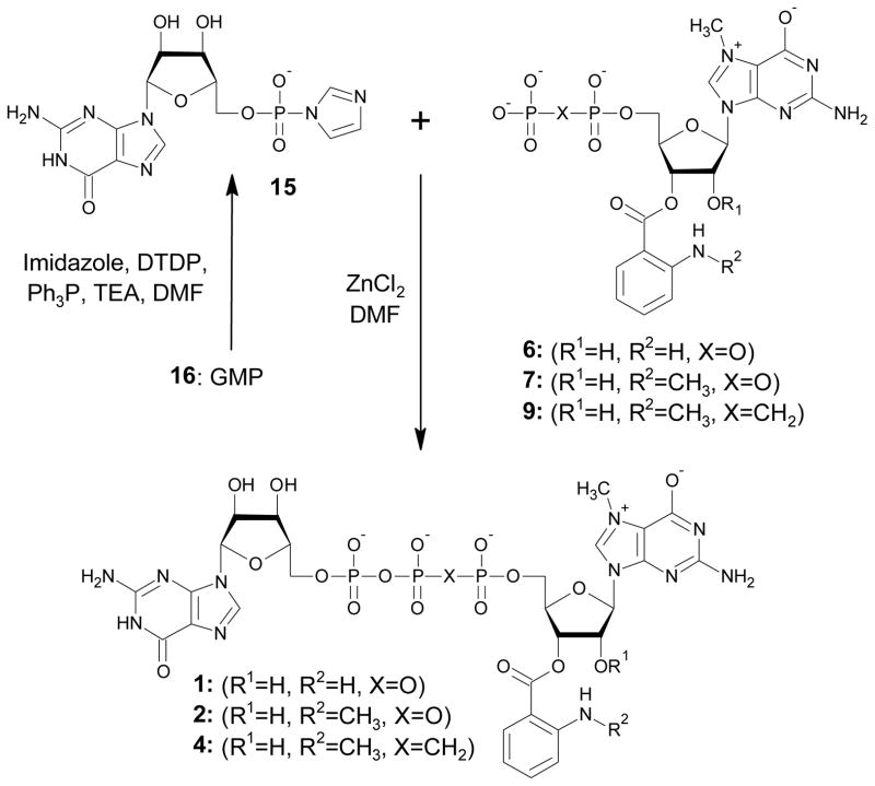 Scheme 2