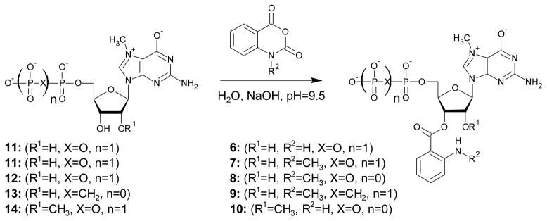 Scheme 1