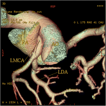 Fig. 10