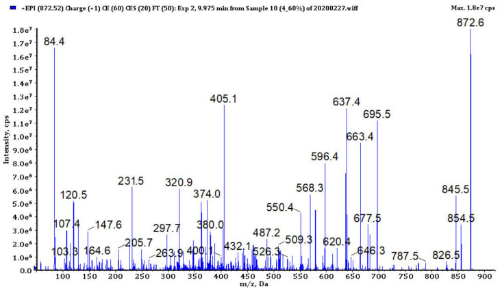 Figure 6