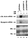 FIG. 7