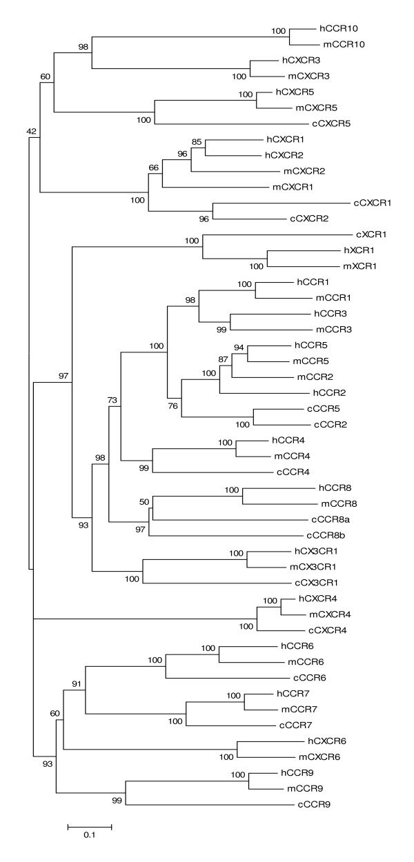 Figure 9