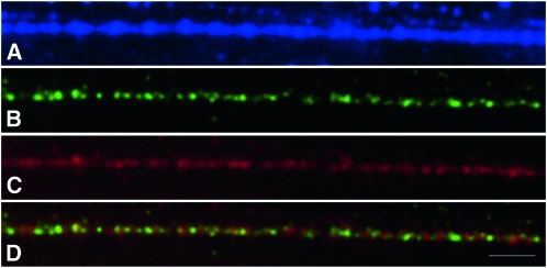 Figure 3.—