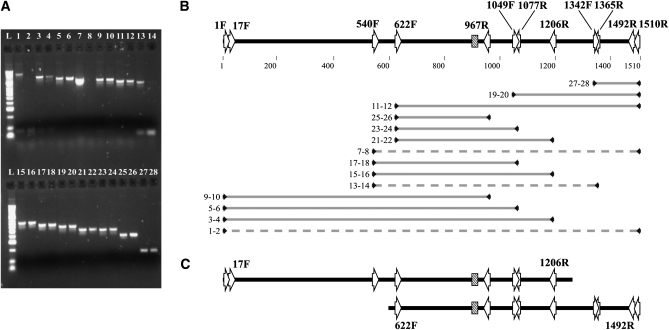 Figure 4.—