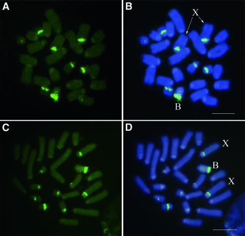 Figure 2.—