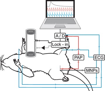 Fig. 1