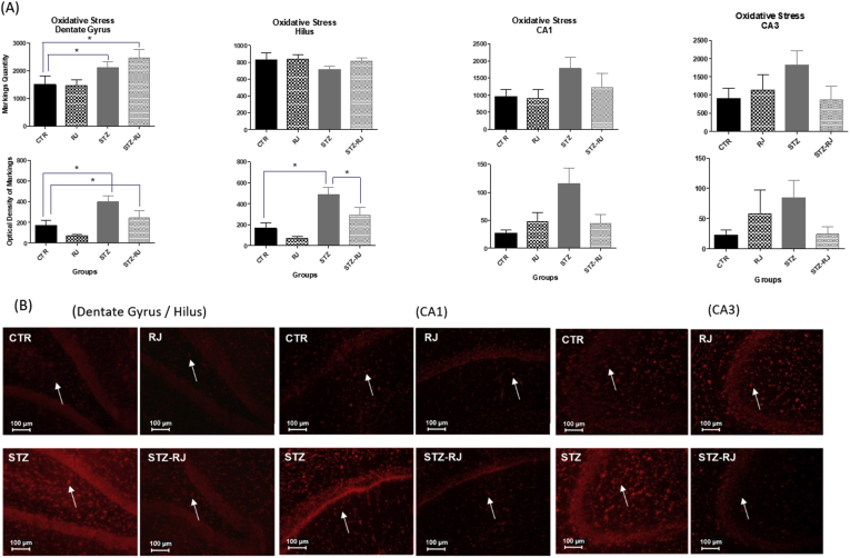 Figure 13