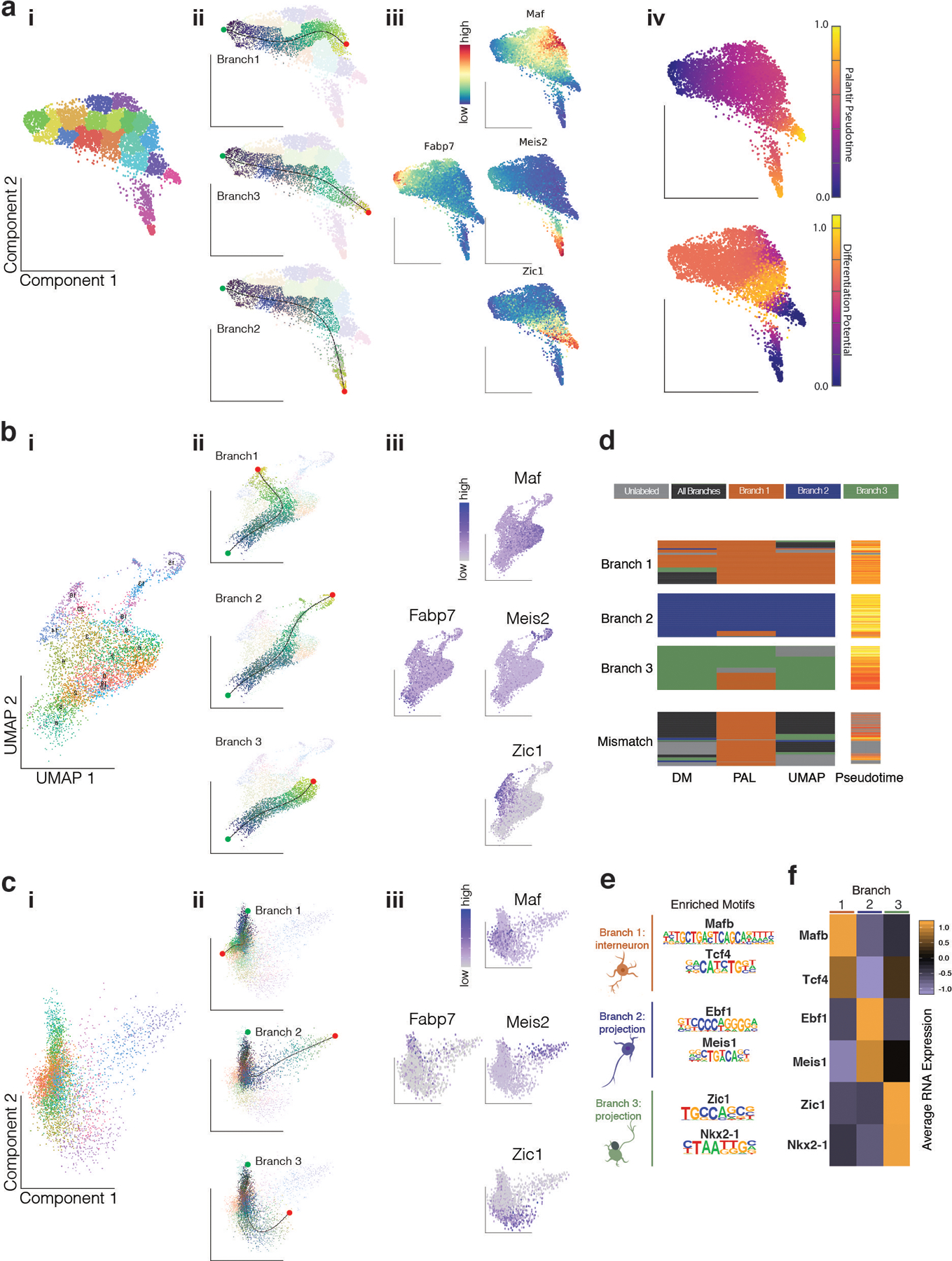 Extended Data Figure 3.