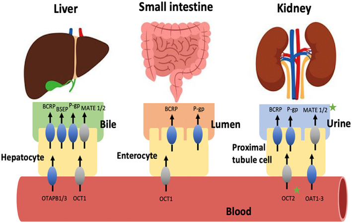 FIGURE 5