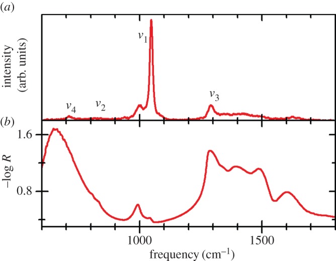 Figure 16.