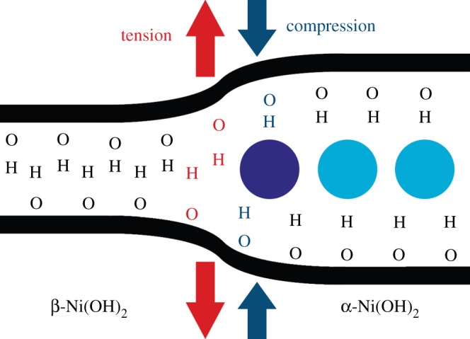 Figure 10.