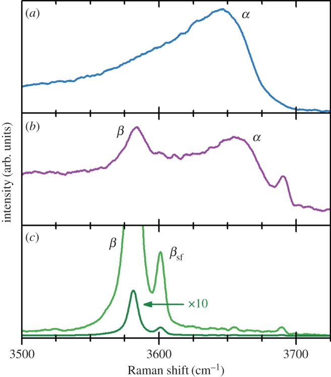 Figure 20.