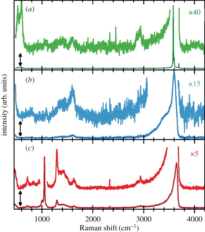 Figure 12.