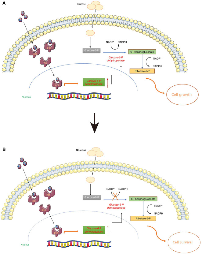 Figure 4