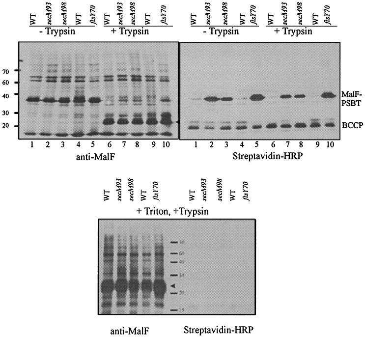 FIG. 4.