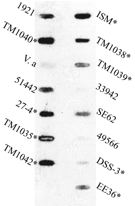 FIG. 5.