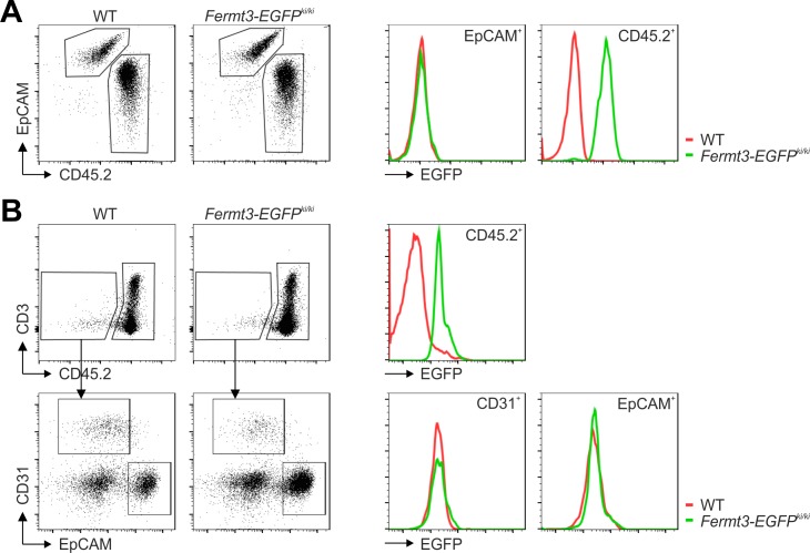 Figure 4—figure supplement 2.