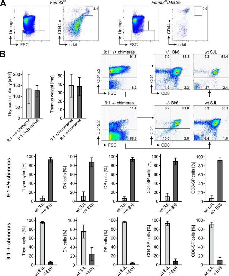 Figure 4—figure supplement 1.