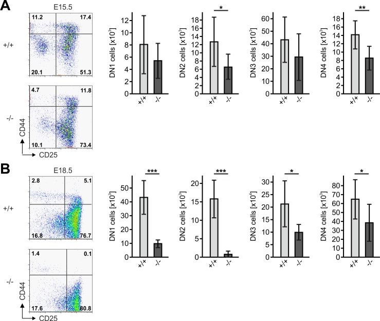 Figure 5—figure supplement 1.