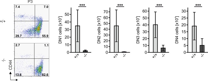 Figure 3—figure supplement 1.