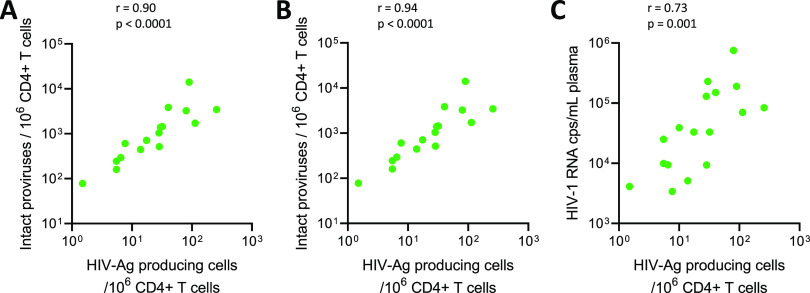 FIG 2