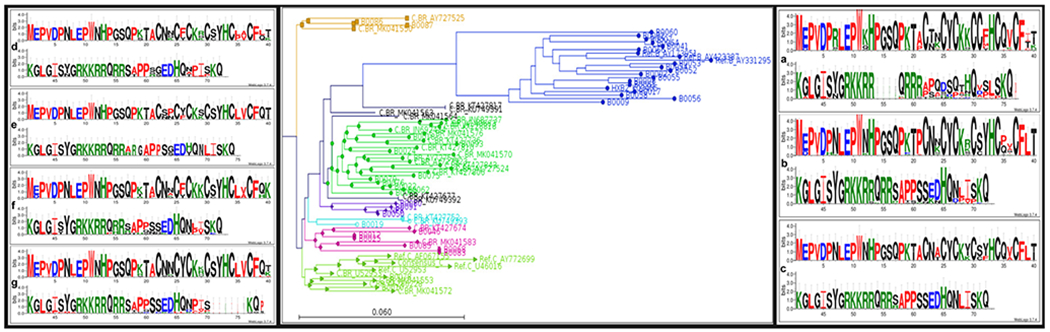 Fig. 3